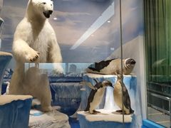 -国家自然博物馆