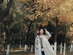 -长白岛森林公园