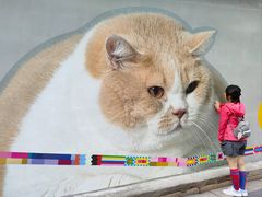 -方浜中路45弄小区