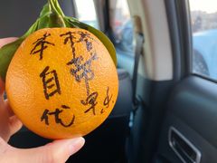 -乐乐鲜果(解放南路店)