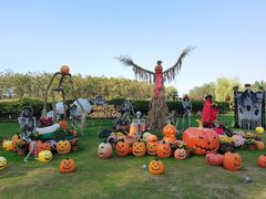 -七彩云南欢乐世界