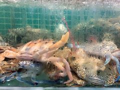 -三亚相缘海鲜·烧烤·糟粕醋(三亚湾店)