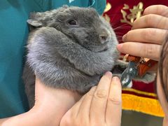 -雨林宠物医院 非犬猫异宠专科