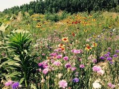 意大利农场-意大利农场度假村