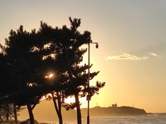 -威海国际海水浴场旅游区