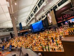 -纽瓦克自由国际机场