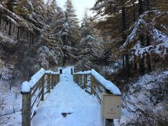 -苏木山森林公园