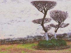 -景德镇陶瓷民俗博物馆