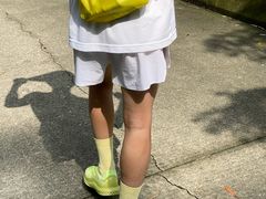 -中山市树木园