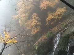 -藏龙百瀑风景区
