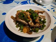 黄焖火培鱼-井水小厨·湘菜(活力广场店)