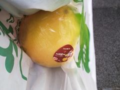 -百果园PAGODA(玄武成贤街店)