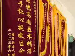 -瑞派长江宠物医院·猫科·外科·24小时夜护(谊城公寓分院)
