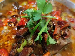 -崔记小串碳烤羊腿(南七马路店)