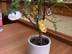 -CURRY YA 熟成咖哩專門店(深圳湾万象城店)