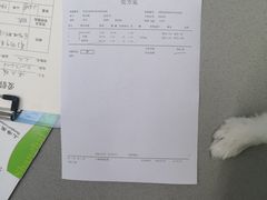 -爱侣宠医·鹦鹉专科·小型哺乳类·异宠专科(灵石路店)