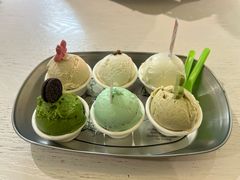 -Mint Gelato(二厂店)
