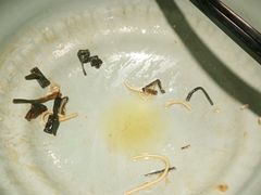 -老外婆本帮面(塔城路店)