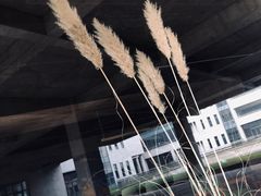 -山下C5cafe(惠通时代广场店)