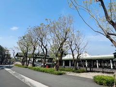 -赤坎·广东华侨国际旅游度假区