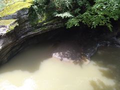 -黎坪国家森林公园