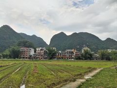 -靖西鹅泉风景区
