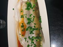 清蒸白鱼-梅飞酒家(桑园路店)