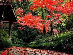 -杭州半山国家森林公园