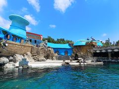 -大连老虎滩海洋公园