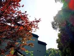 -法云安缦酒店