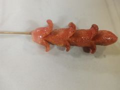 烤香肠-江湖翅客(琶洲新村店)