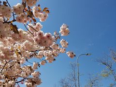 -大兴滨河森林公园