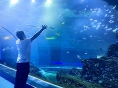 -威海华夏城景区