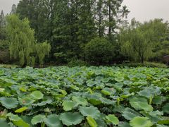 -浙江省博物馆(孤山馆区)