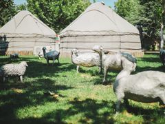 -九十九顶毡房(阜石路店)