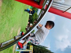 -崇明东平国家森林公园烧烤房车露营地