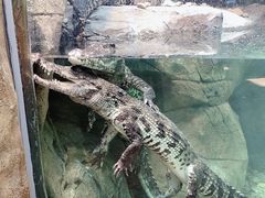 -哈尔滨波塞冬海底世界