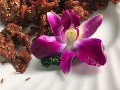 -宝发园名菜馆