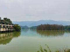 -星湖旅游景区七星岩