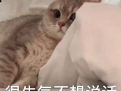-牛油果大师寿司(瑞景店)