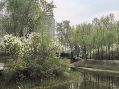 -群力丁香公园