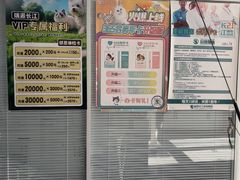 -瑞派长江宠物医院·猫科·外科·24小时夜护(谊城公寓分院)