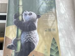 -深圳博物馆历史民俗馆