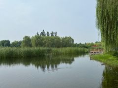 -张家湾公园