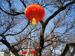 -北京网络广播电视台