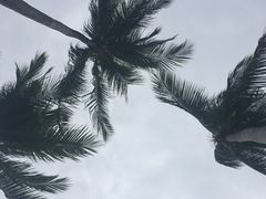 -麦哲伦丝绸度假村
