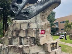 -自贡恐龙博物馆