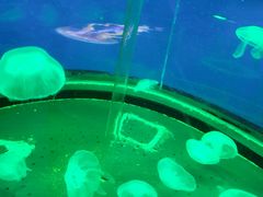 -南昌融创海世界