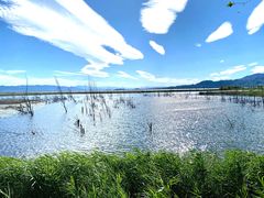 -野鸭湖国家湿地公园