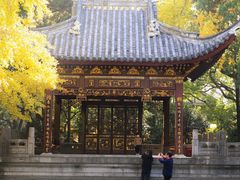 -汇龙潭